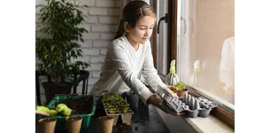 Що висівати на розсаду в першу чергу і як за нею доглядати