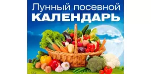 Посівний календар для садівника, дачника, городника на 2018 рік
