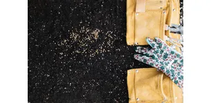 Все про протруювачі насіння: види, призначення, важливість на ваших городах