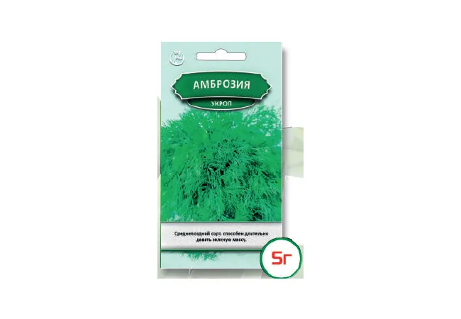 Фото 2 - Насіння кріп Амброзія 5 г (Агромаг)