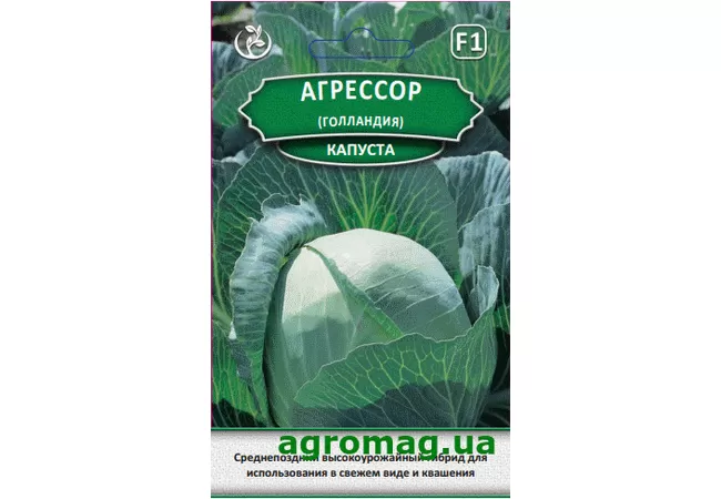 Фото 2 - Насіння капуста білокачанна Агресор F1 (Голландія) 20шт (Агромаг)