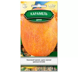 Насіння диня Карамель F1- 2г (Агромаг)