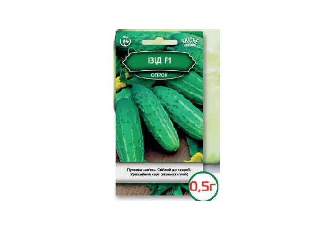Фото 2 - Насіння огірок Ізід F1 0,5 г (Агромаг)