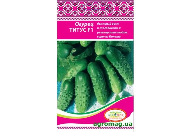 Фото 2 - Насіння огірок Титус F1 0,5 г (Агромаг)