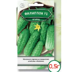 Насіння огірок Філліпок F1 0,5 г (Агромаг)