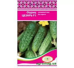 Насіння огірок Цезар F1 0,5 г (Агромаг)