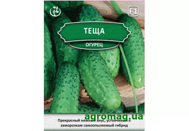 Фото 2 - Насіння огірок Теща F1 - 1.8 г (Агромаг) Б.П.