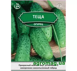 Насіння огірок Теща F1 - 1.8 г (Агромаг) Б.П.