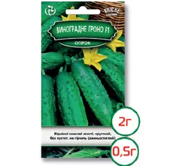Насіння огірок Виноградне гроно F1 0,5 г (Агромаг)