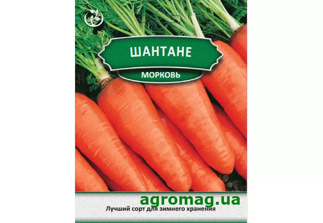 Фото 2 - Насіння морква Шантане 15г (Агромаг) Б.П.