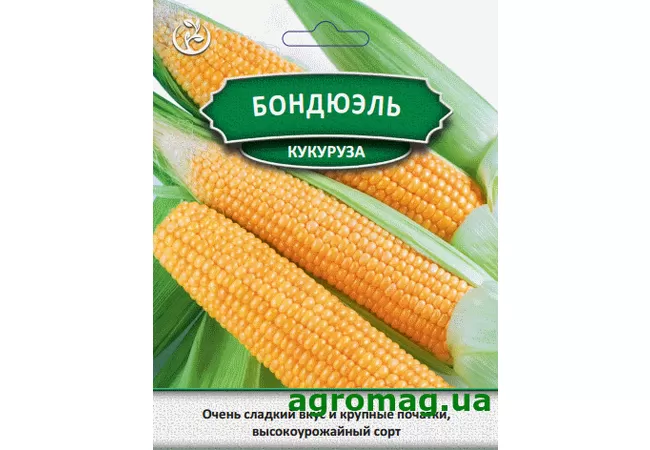 Фото 2 - Насіння кукурудза Бондюель 20г (Агромаг) Б.П.