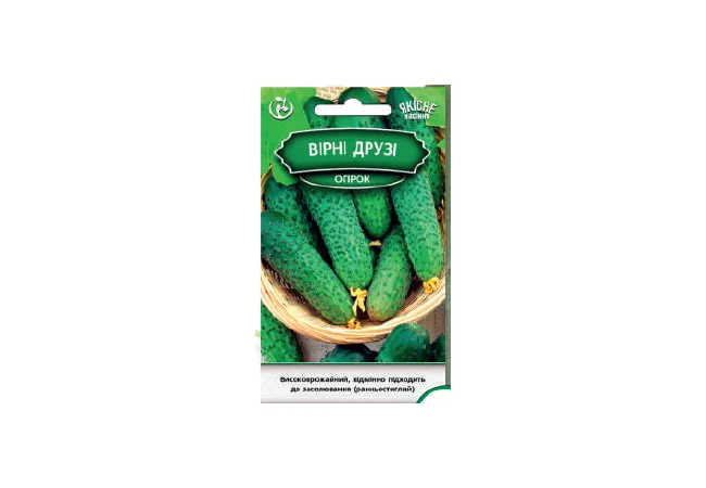 Фото 2 - Насіння огірок Вірні друзі F1 0,5 г (Агромаг)