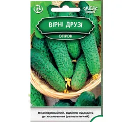 Насіння огірок Вірні друзі F1 0,5 г (Агромаг)