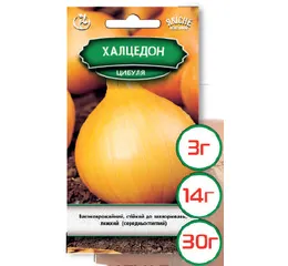 Насіння цибулю Халцедон 3г (Агромаг)