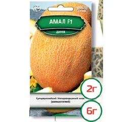 Насіння диня Амал F1 - 6 г (Агромаг) Б.П.