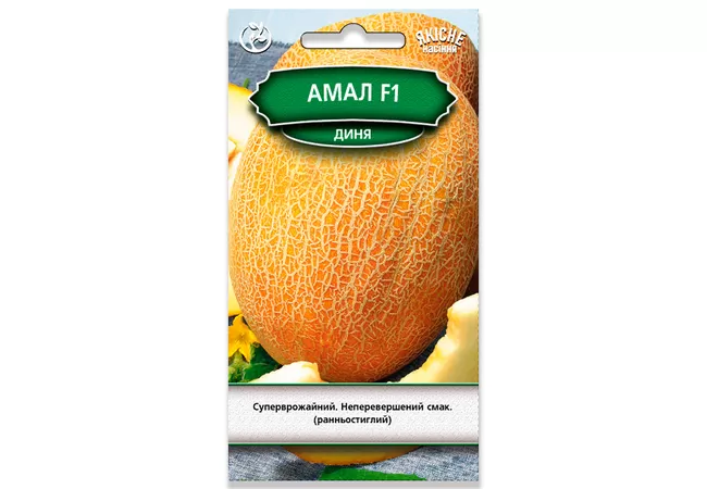 Фото 2 - Насіння диня Амал F1 - 2г (Агромаг)
