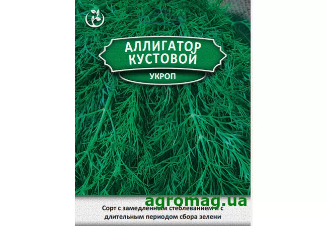 Фото 2 - Насіння кріп Алігатор кущовий 15 г (Агромаг) Б.П.