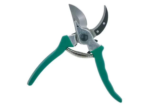 Фото 3 - Секатор садовий Greenmill (GR6201)