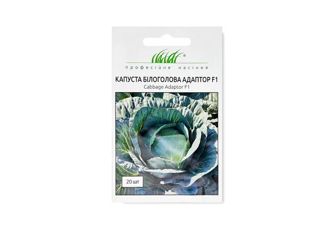 Фото 2 - КАПУСТА АДАПТОР F1 (20 шт.) Нідерланди