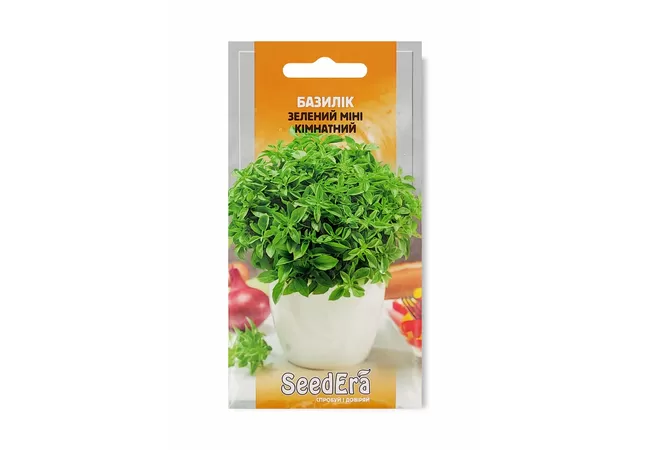 Фото 2 - БАЗИЛІК ЗЕЛЕНИЙ КІМНАТНИЙ 