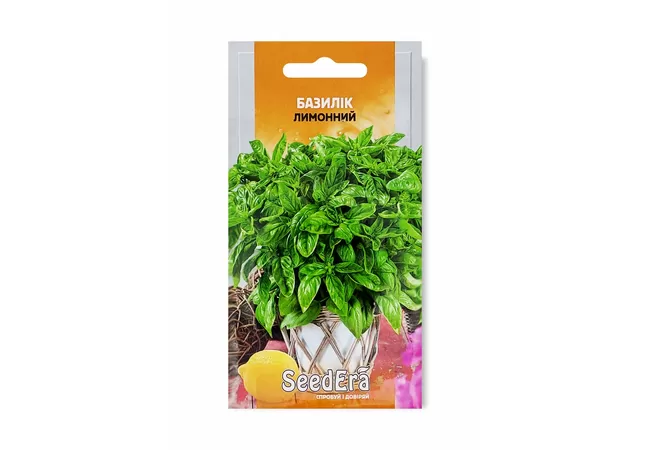 Фото 2 - БАЗИЛІК ЛИМОННИЙ ЗЕЛЕНИЙ 