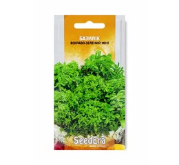 БАЗИЛІК ЯСКРАВО-ЗЕЛЕНИЙ МІНІ