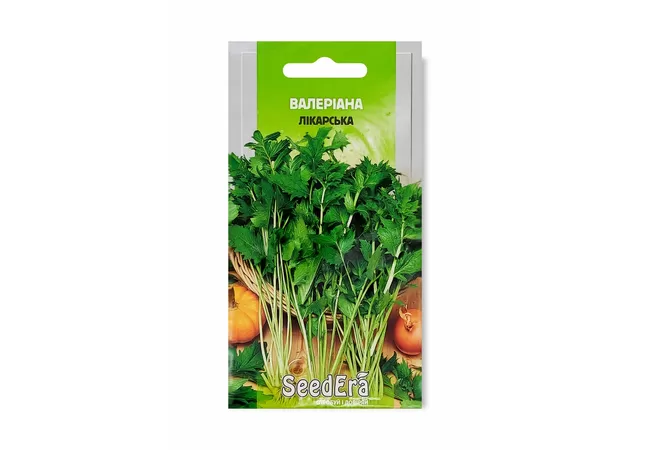 Фото 2 - ВАЛЕРІАНА ЛІКАРСЬКА 