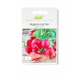 РЕДИСКА ЕСТЕР (2г)