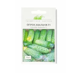 ОГІРОК АВАЛАНЖ F1 (10 шт.) Південна Корея