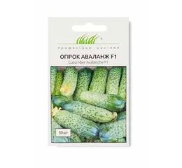 ОГІРОК АВАЛАНЖ F1 (50 шт.)