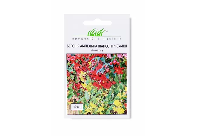 Фото 2 - БЕГОНІЯ ШАНСОН F1 (10шт.) Чехія