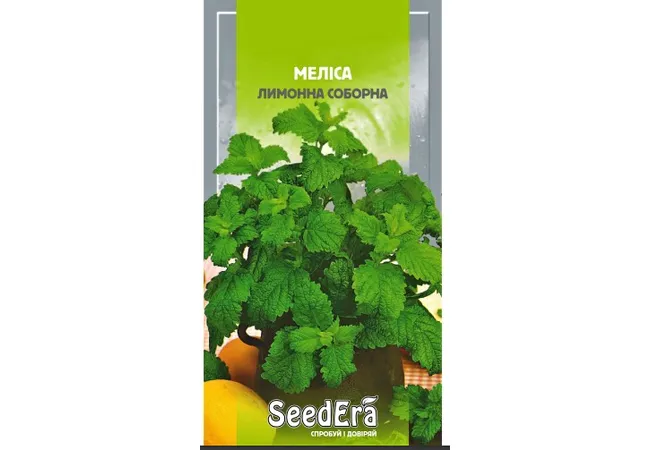 Фото 2 - Меліса лимонна Соборна 0,2г