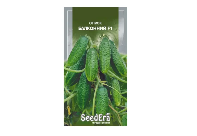 Фото 2 - Огірок Балконний F1 10 шт. (Seed Era)