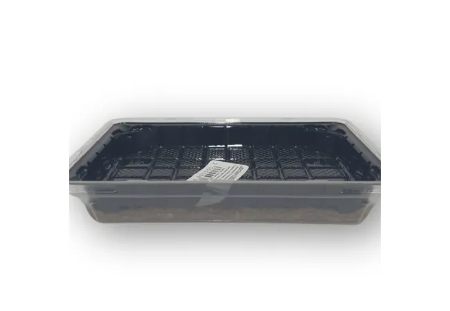 Фото 3 - Тепличка для вирощування мікрозелені 185*130мм з килимком. 