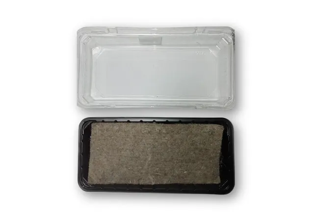 Фото 2 - Тепличка для вирощування мікрозелені 185*130мм з килимком. 