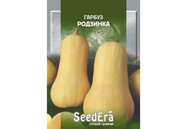 Фото 2 - ГАРБУЗ РОДЗИНКА 20г