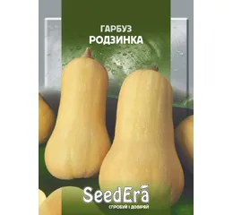 ГАРБУЗ РОДЗИНКА 20г