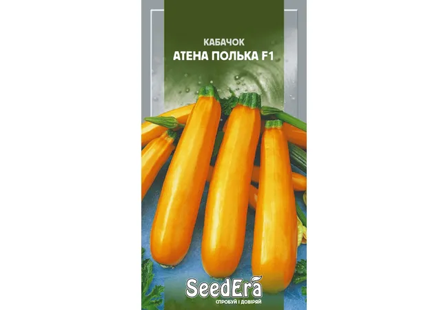 Фото 2 - КАБАЧОК АТЕНА ПОЛЬКА F1 (10 шт.)