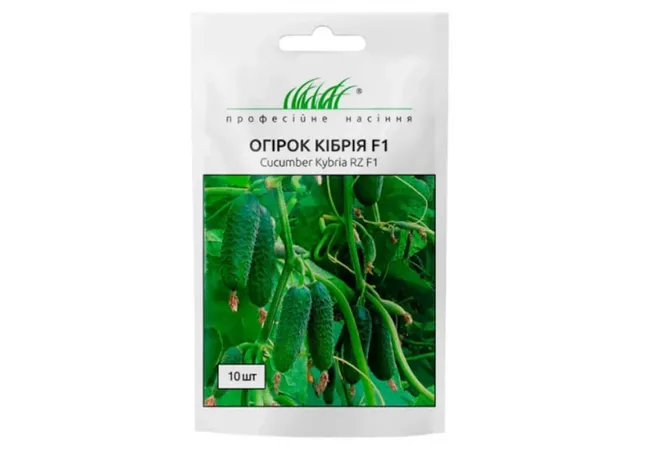 Фото 2 - ОІГРОК КІБРІЯ F1 (10 шт.) Нідерланди 