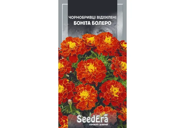 Фото 2 - Чорнобривці Низькорослі Боніта Болеро (0,5 г) (Seed Era)