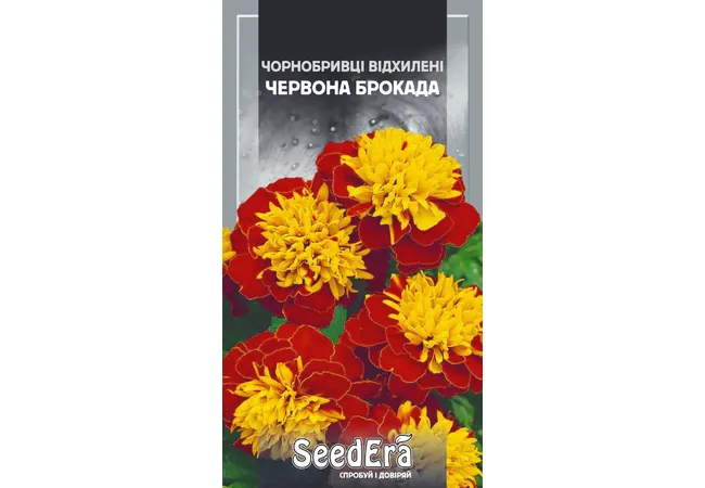 Фото 2 - Чорнобривці Низькорослі Червона Брокада (0,5г) (Seed Era)