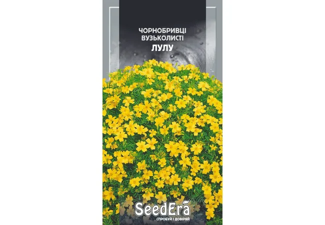 Фото 2 - Чорнобривці Низькорослі Лулу (0,5г) (Seed Era)