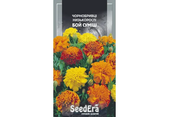 Фото 2 - Чорнобривці Низькорослі Бой Суміш 0,3г (Seed Era)