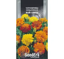 Чорнобривці Низькорослі Бой Суміш 0,3г (Seed Era)