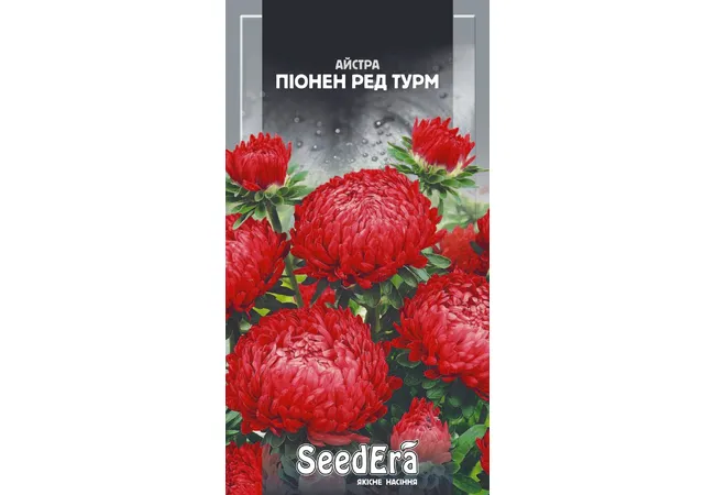 Фото 2 - Айстра Високоросла Піонен Ред Турм (0,25г) (Seed Era)