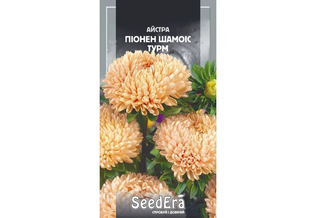 Фото 2 - Айстра Високоросла Піонен Шамоіс Турм (0,25г) (Seed Era)