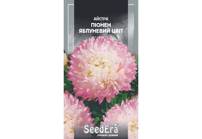 Фото 2 - Айстра Високоросла Піонен Яблуневий Цвіт (0,25г) (Seed Era)