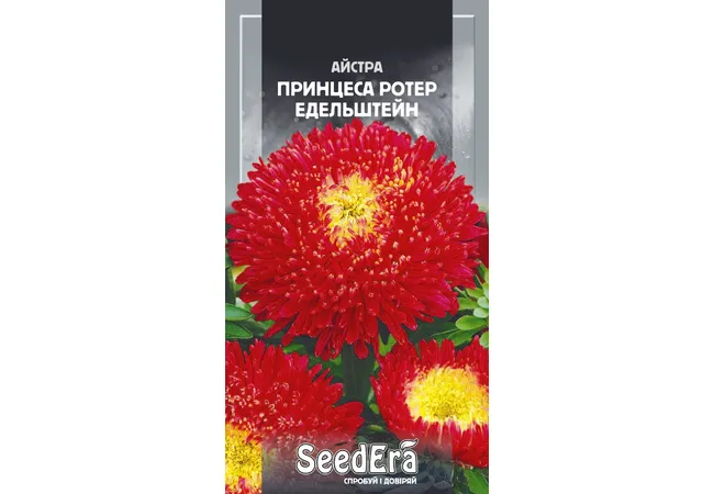 Фото 2 - Айстра Високоросла Принцеса Ротер Едельштейн (0,25г) (Seed Era)
