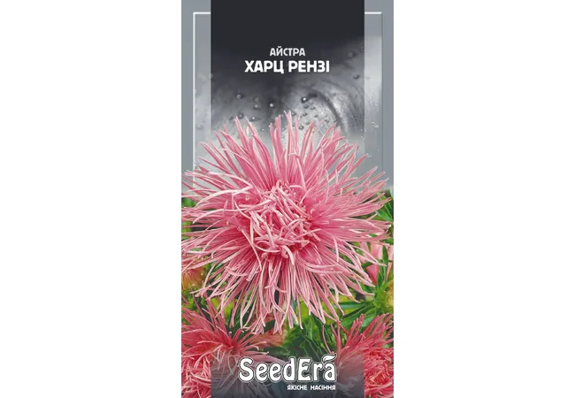 Фото 2 - Айстра Високоросла Харц Рензі (0,25г) (Seed Era)