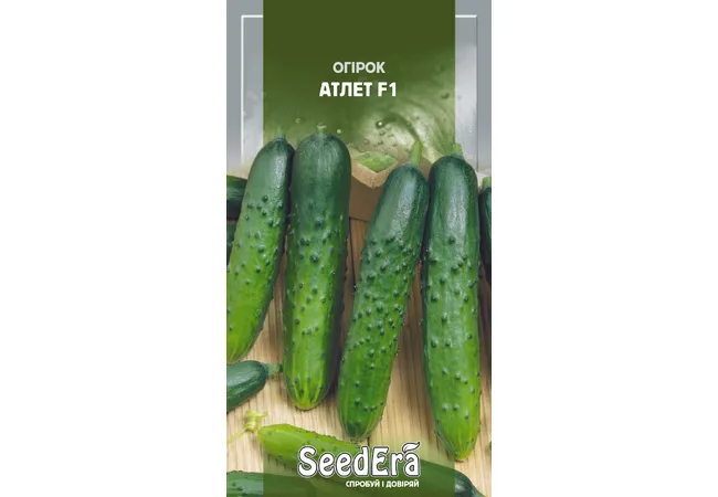 Фото 2 - Огурец Атлет F1 (10 шт.) Seed Era